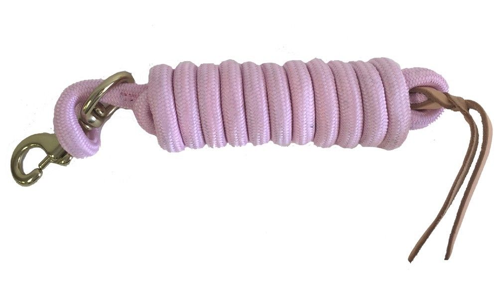 AJ Tack 9 Foot Nylon Lead Rope with Leather Popper