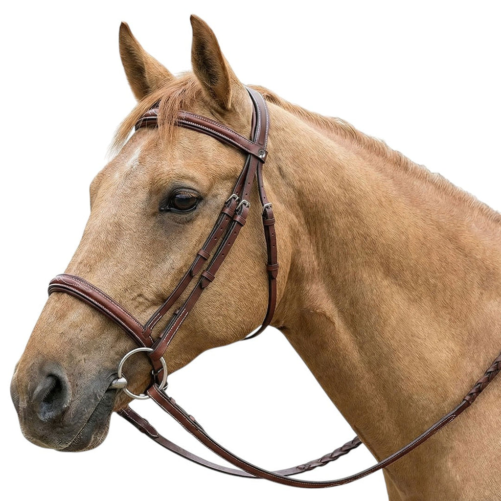 Henri de Rivel Pro Fancy Raised Comfort Crown Padded Bridle With Fancy Raised Reins