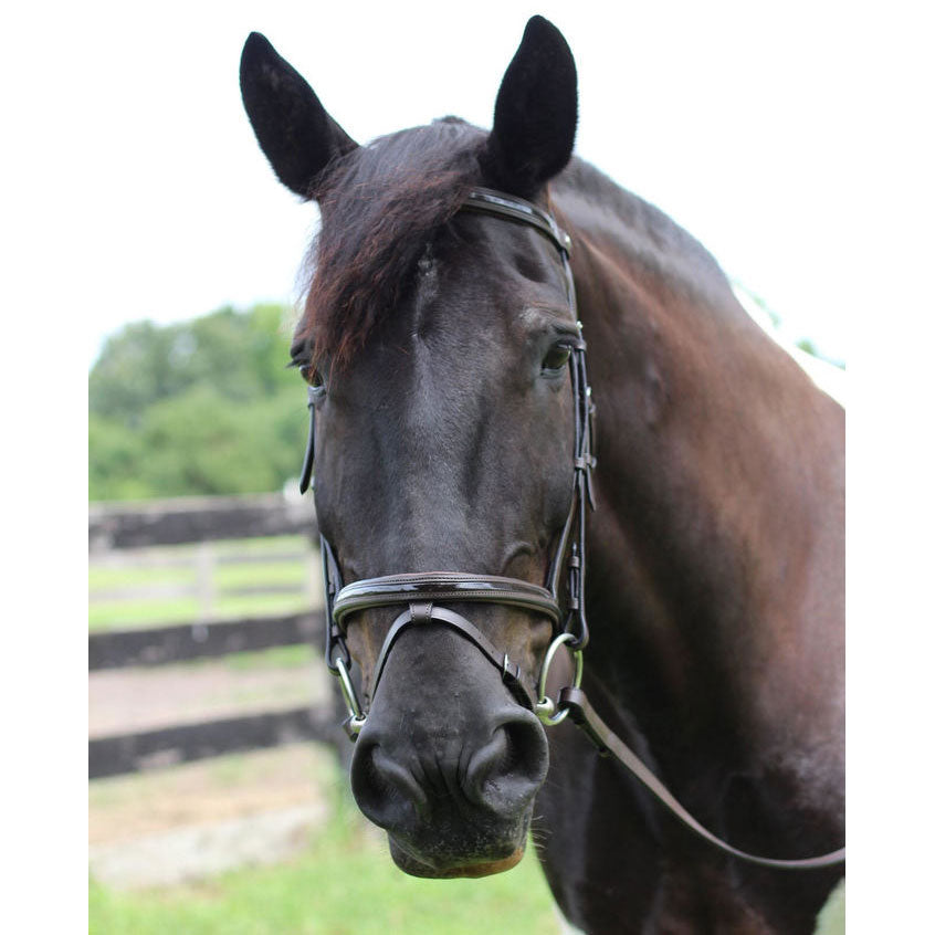 Henri de Rivel Pro Piaffe Mono Crown Bridle with Flash Noseband with Patent Leather