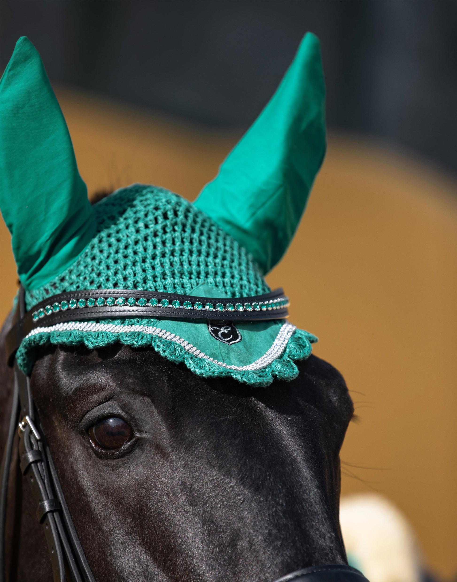 Teal Fly Hat