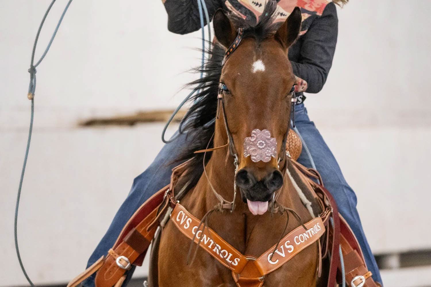 EquiBreathe™ Equine Nasal Patch - Tooled Leather