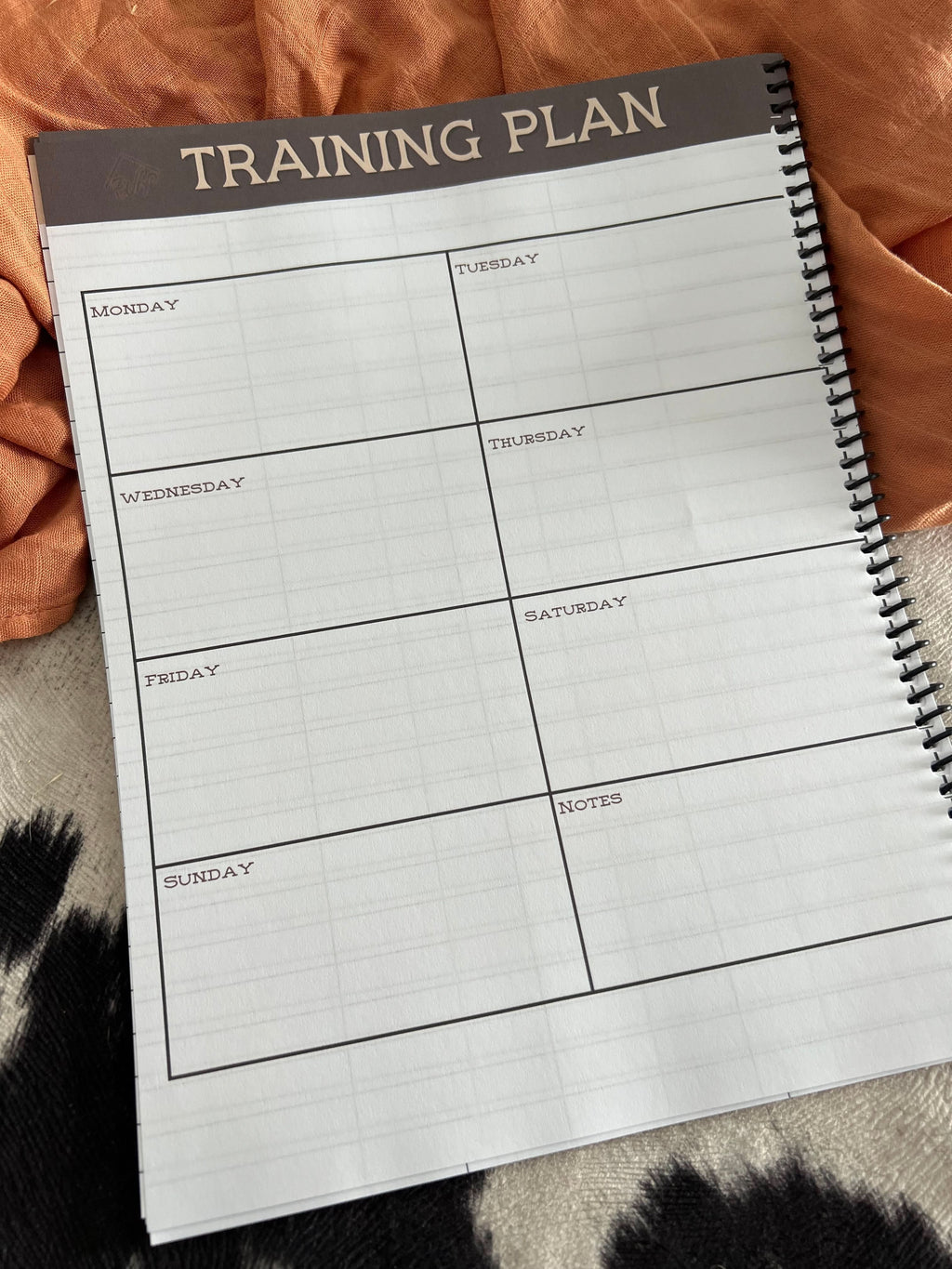 Bull Rider Rodeo Record Book