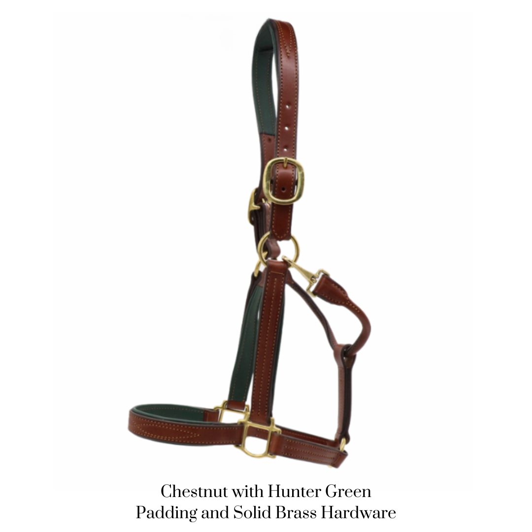 GHC Padded Halter