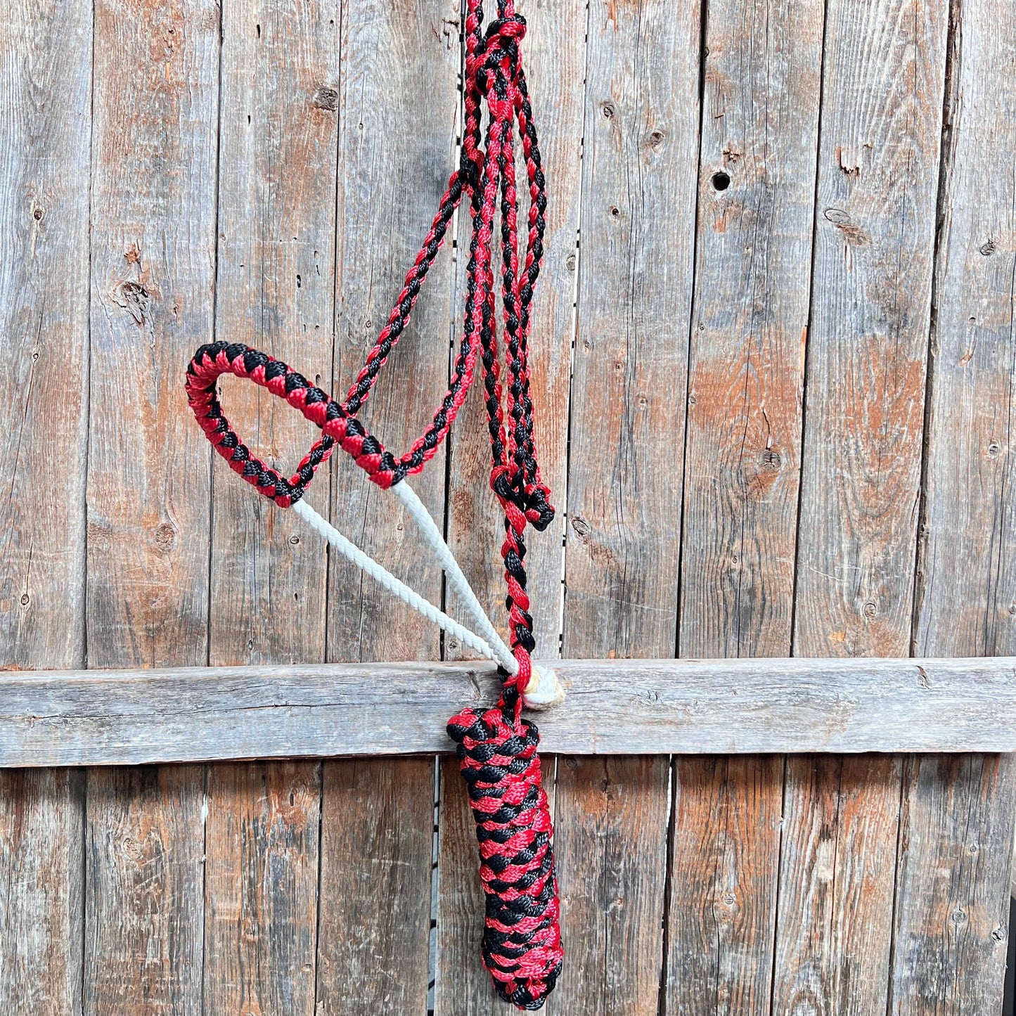 Red and Black Mule Tape with Lariat Noseband Halter