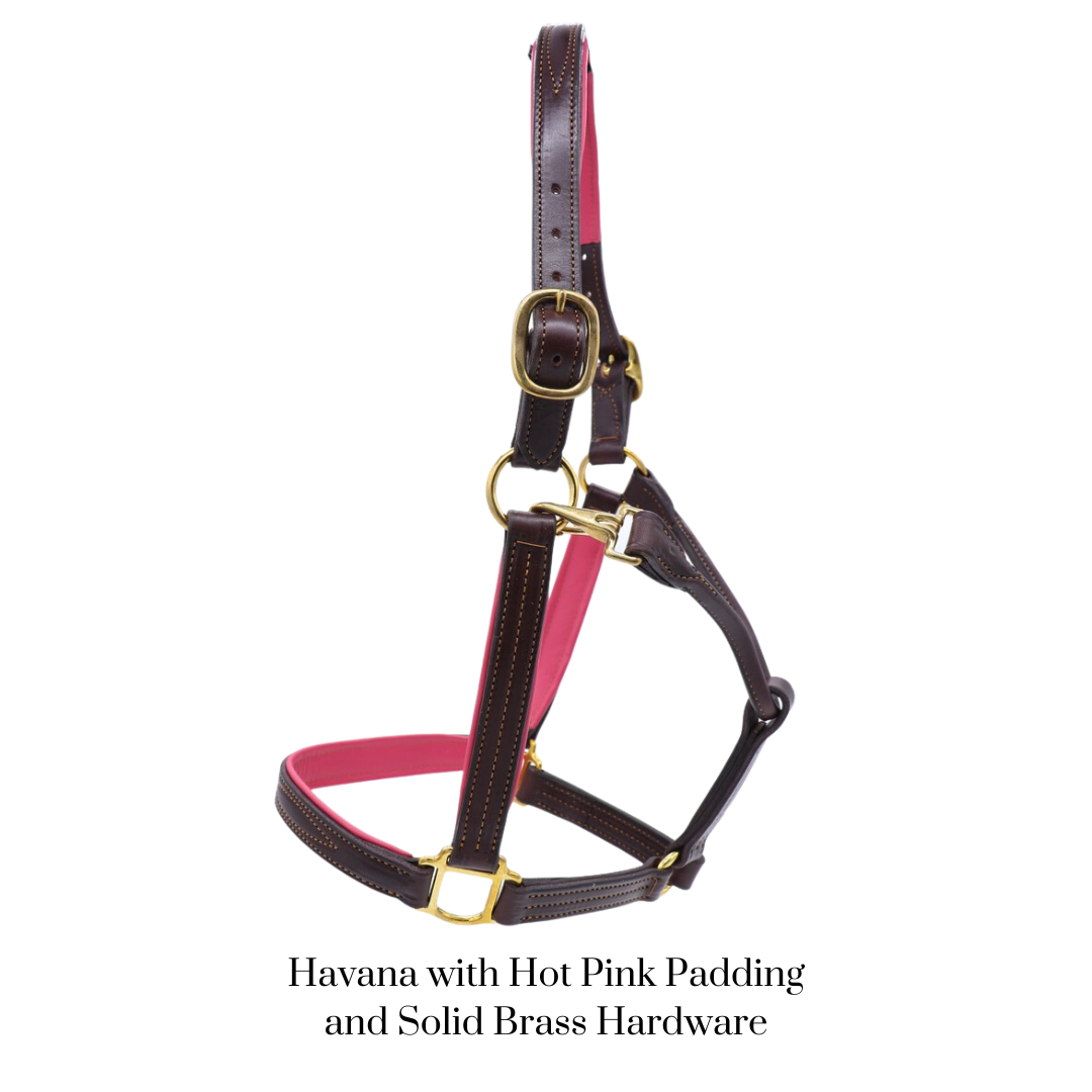 GHC Padded Halter