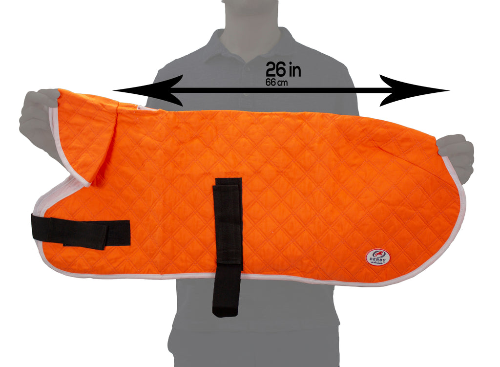 Derby Originals Hydro Cooling Dog Jacket with Harness Compatible Opening, Reflects Heat & Keeps Dogs Cool for up to 10 Hours
