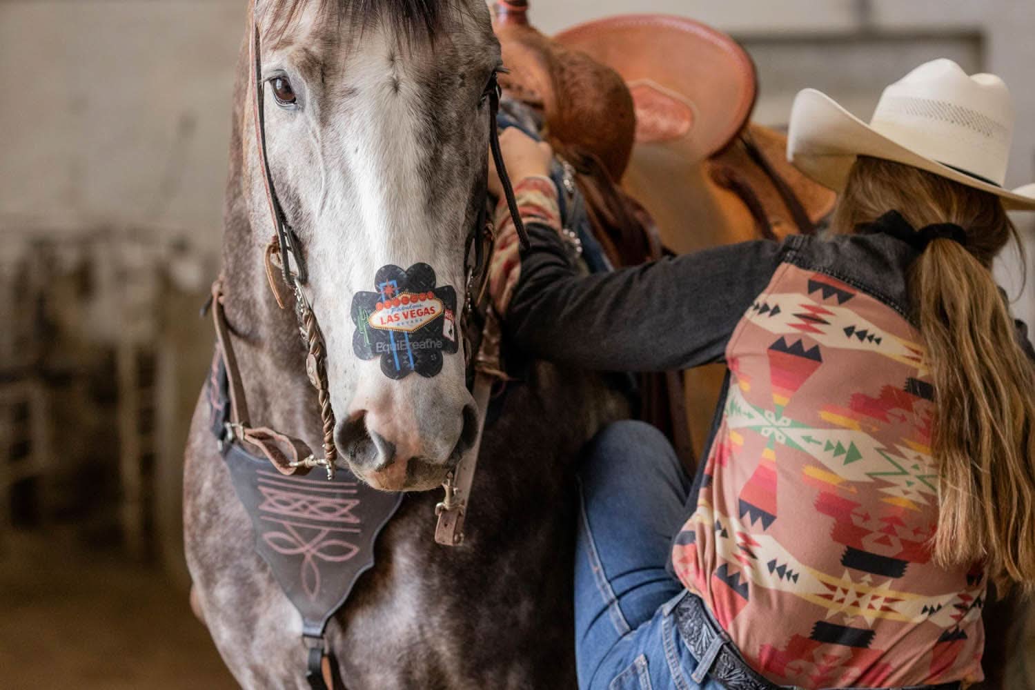 EquiBreathe™ Equine Nasal Patch - Vegas