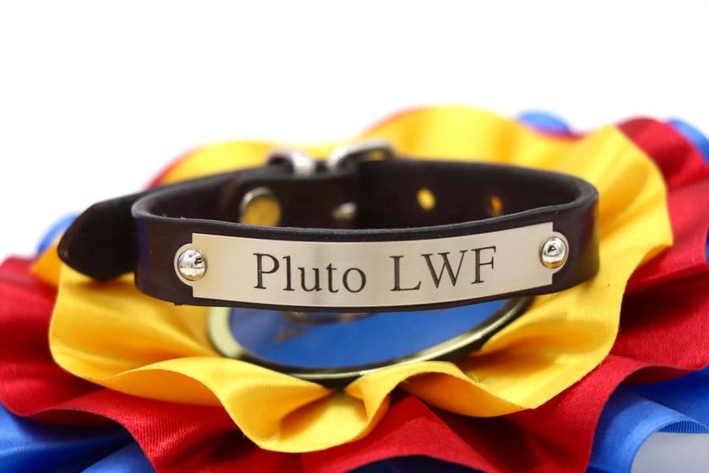Toddler Sized Pony Bracelet