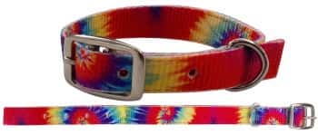 Tye Dye print nylon dog collar.