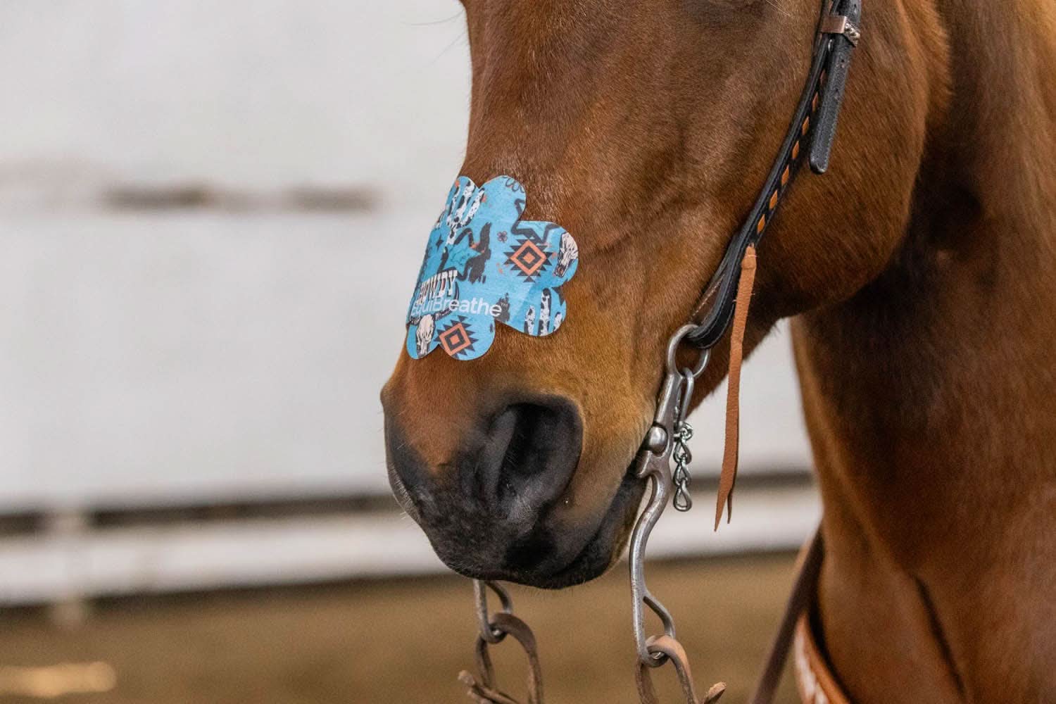 EquiBreathe™ Equine Nasal Patch - Howdy