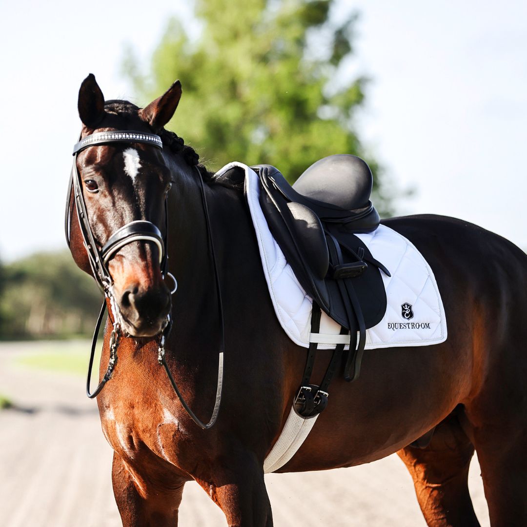 B&W - White Saddle Pad Set