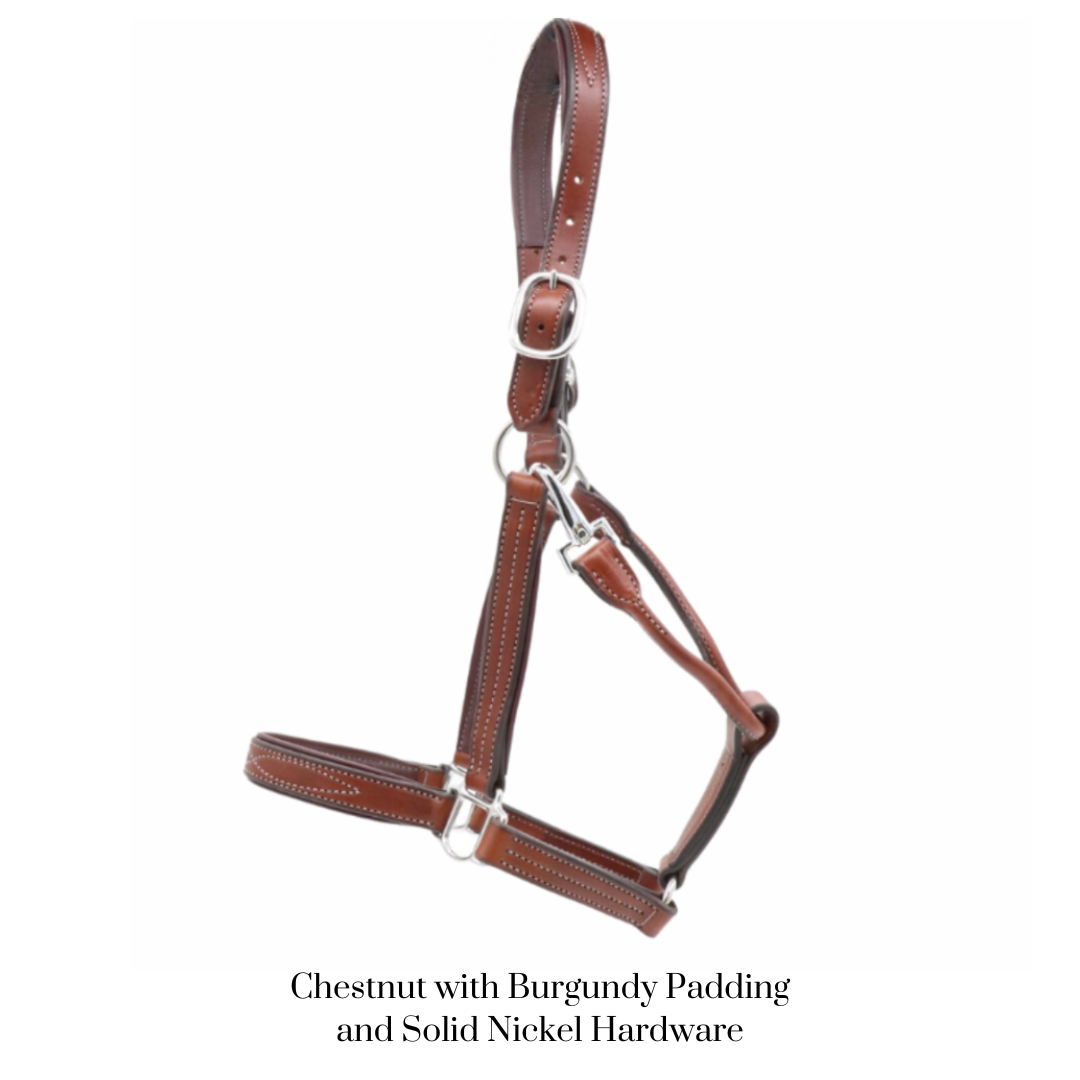 GHC Padded Halter