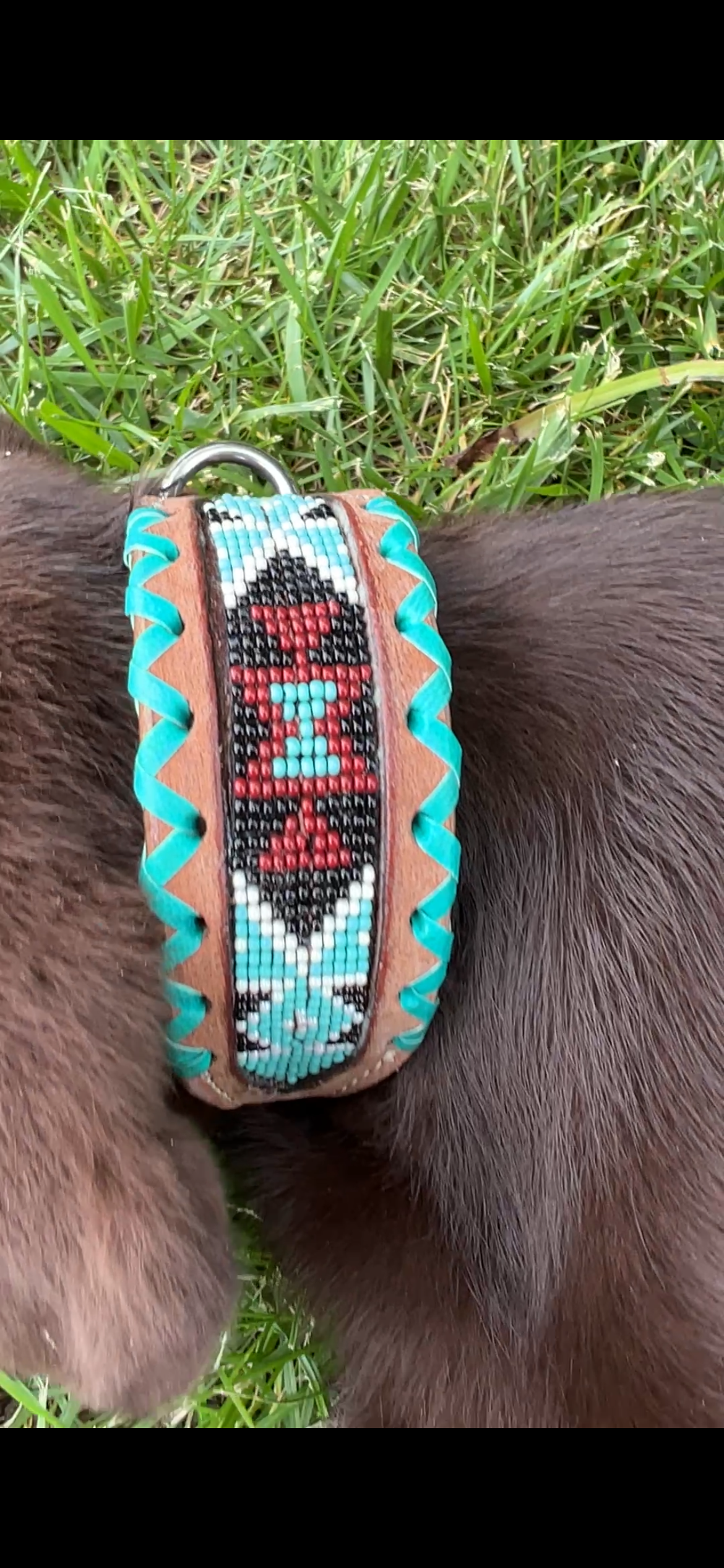 Genuine leather dog collar with teal, white, and burgundy  beaded inlay design, a rawhide wrapped edge
