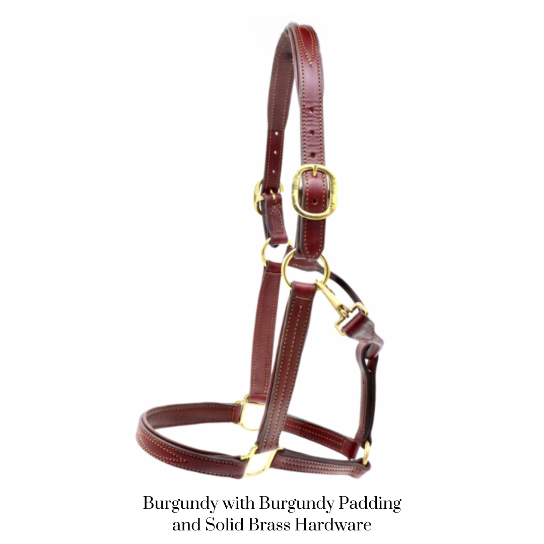 GHC Padded Halter