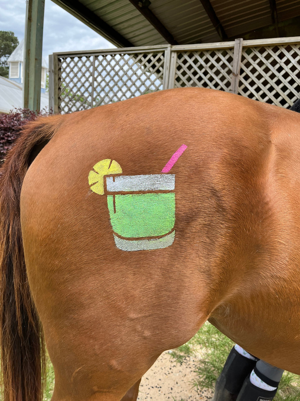 Drinks - On the Rocks