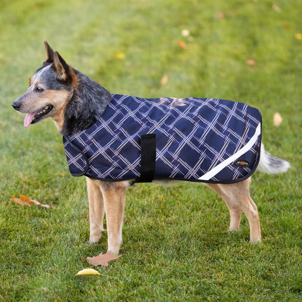 Winter Dog Coat - 180G Medium Weight - Waterproof & Breathable