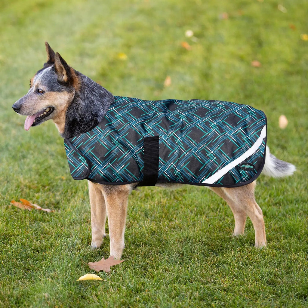 Winter Dog Coat - 180G Medium Weight - Waterproof & Breathable