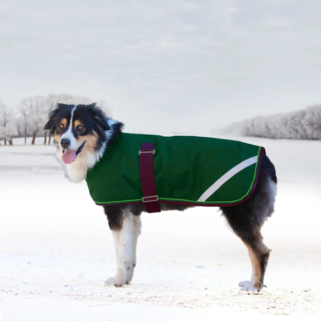 Winter Dog Coat - 180G Medium Weight - Waterproof & Breathable