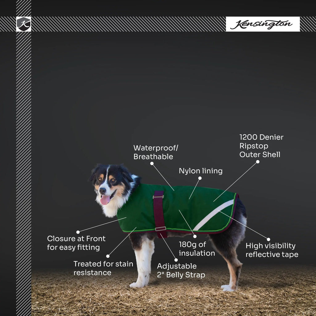 Winter Dog Coat - 180G Medium Weight - Waterproof & Breathable