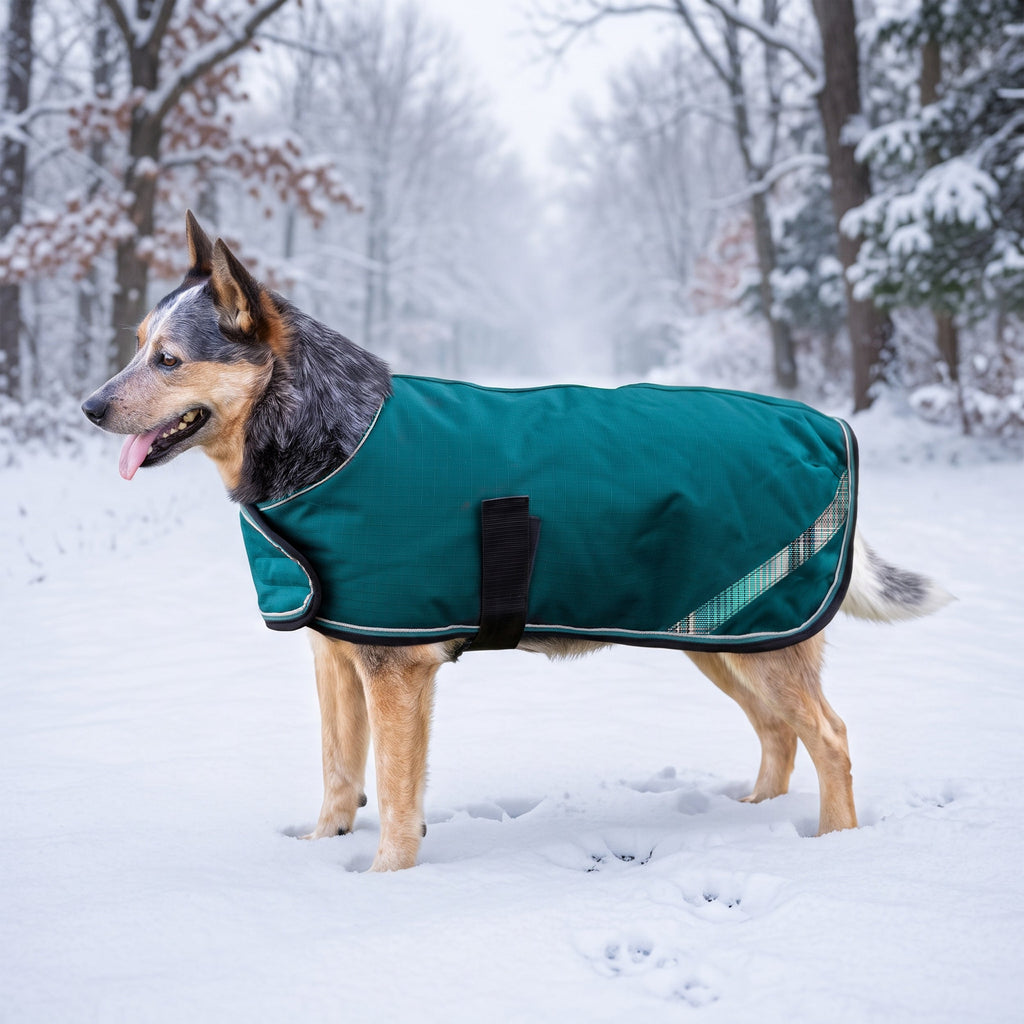 New Winter Dog Coat - 180G Medium Weight - Waterproof & Breathable