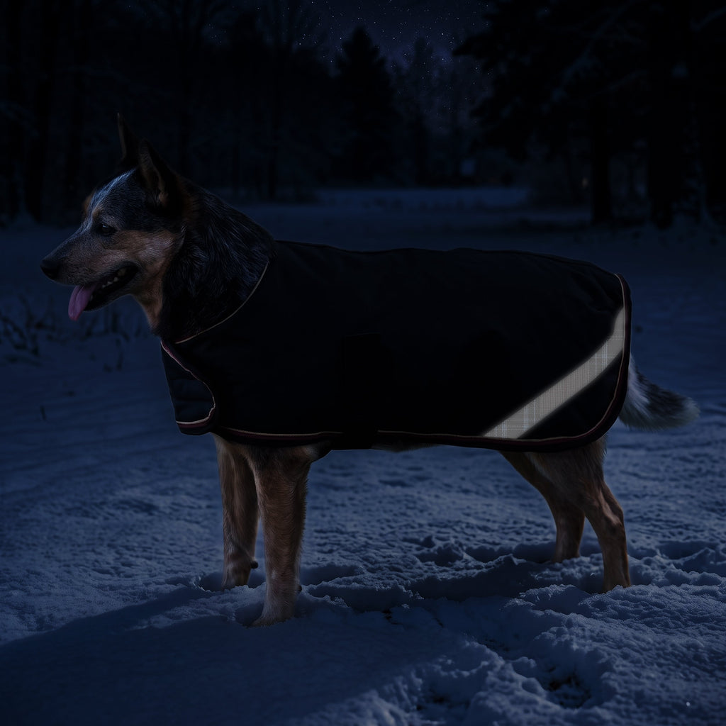 New Winter Dog Coat - 180G Medium Weight - Waterproof & Breathable