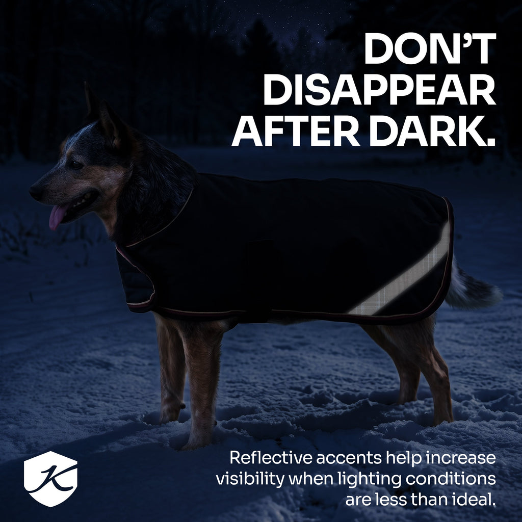 New Winter Dog Coat - 180G Medium Weight - Waterproof & Breathable