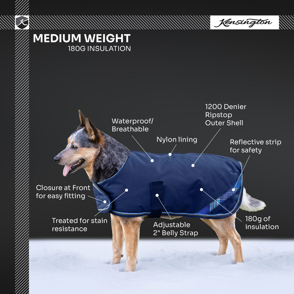 New Winter Dog Coat - 180G Medium Weight - Waterproof & Breathable