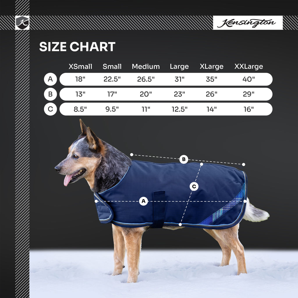 New Winter Dog Coat - 180G Medium Weight - Waterproof & Breathable