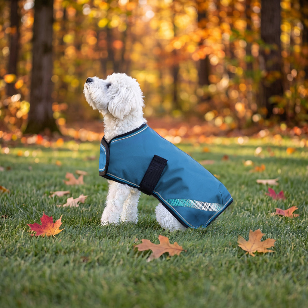 New Winter Dog Coat - 180G Medium Weight - Waterproof & Breathable