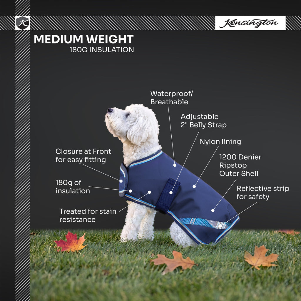 New Winter Dog Coat - 180G Medium Weight - Waterproof & Breathable
