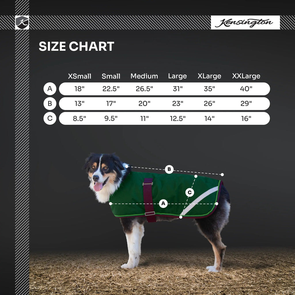 Winter Dog Coat - 180G Medium Weight - Waterproof & Breathable