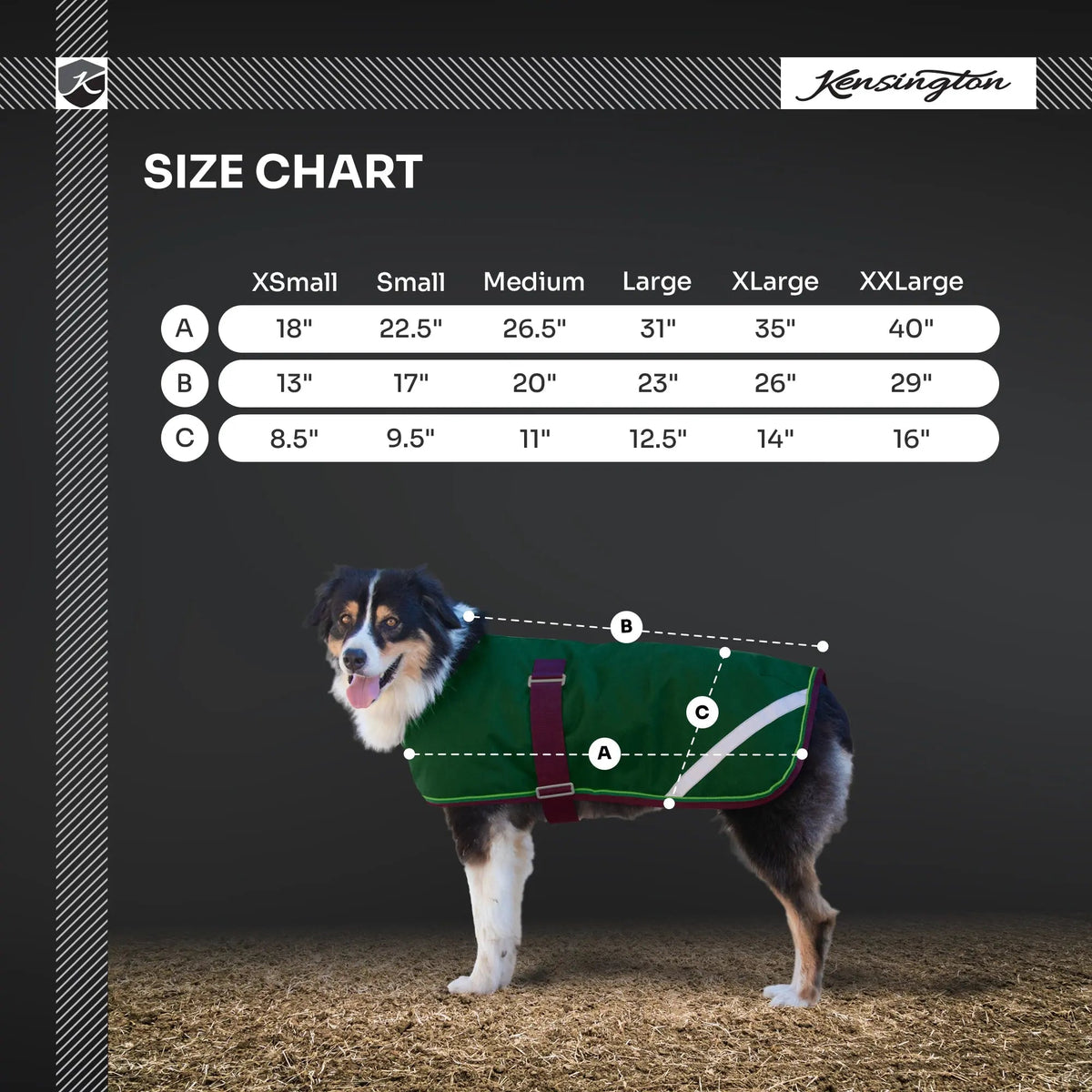 Winter Dog Coat - 180G Medium Weight - Waterproof & Breathable