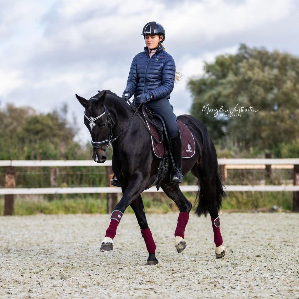 Burgundy Saddle Pad Set