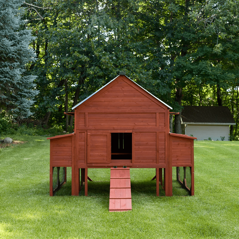 Chicken Coop for 15 Chickens – Brahma Chicken Coop