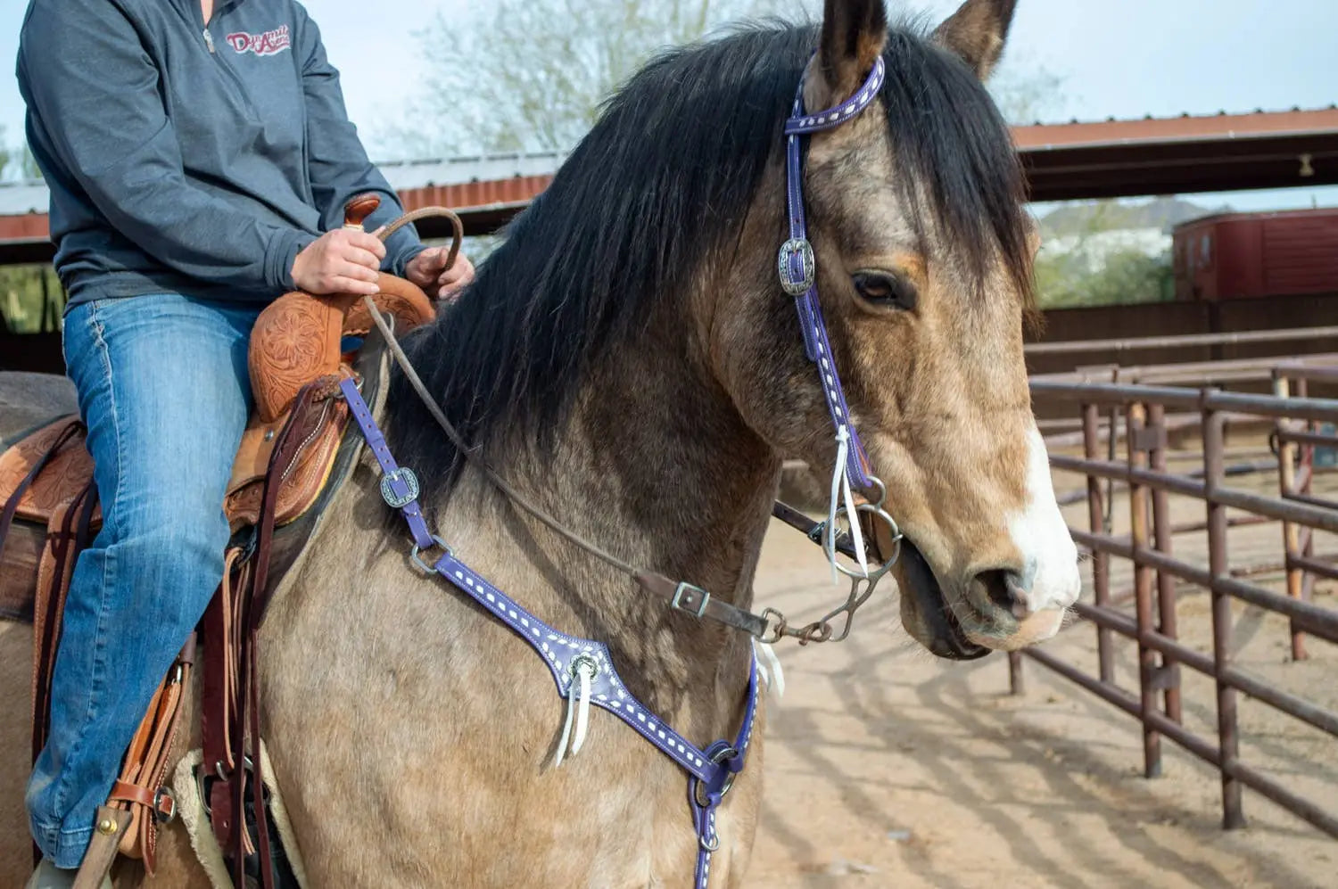 Buckstitchin’ Beauty Purple Tack Set