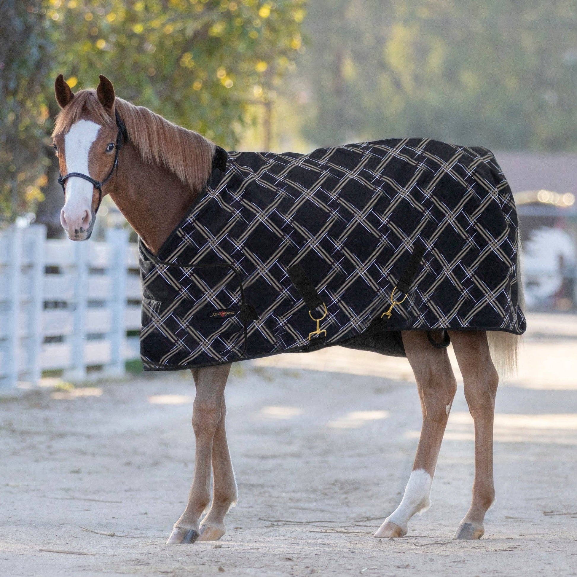 1200Denier Adjustable Weanling "180G" Medium Weight Waterproof & Breathable Winter Turnout