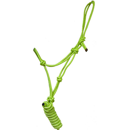 Rope Halter and Lead with Rope Nose