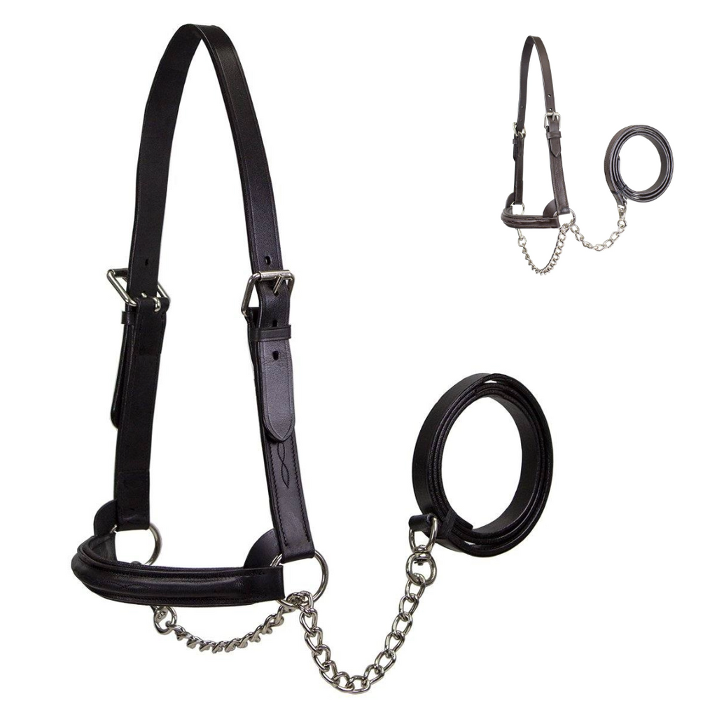 Derby Originals Premium Raised Padded Leather Cattle Show Halter, Small/Medium/Large, Adjustable Fit with 48" Lead and 14" Chain, Durable Hardware, 1-Year Warranty