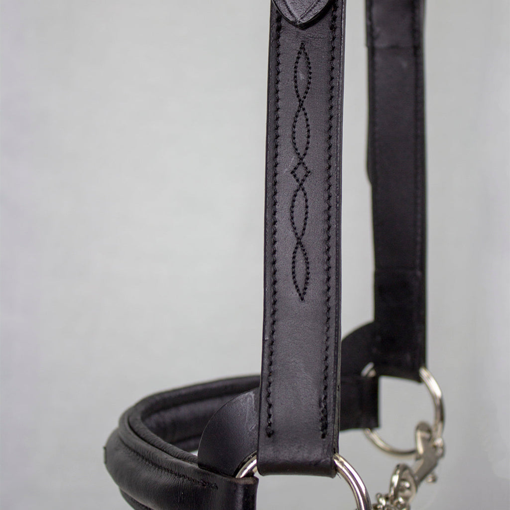 Derby Originals Premium Raised Padded Leather Cattle Show Halter, Small/Medium/Large, Adjustable Fit with 48" Lead and 14" Chain, Durable Hardware, 1-Year Warranty