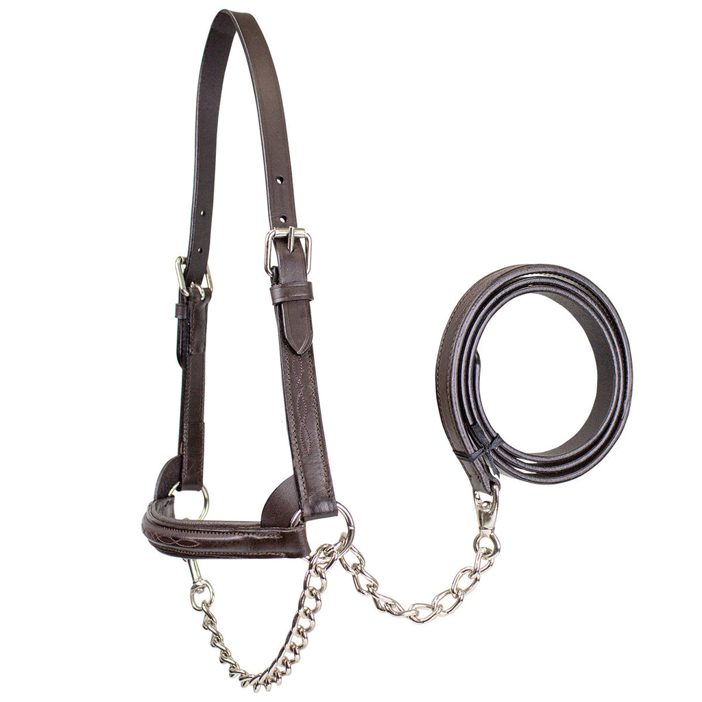 Derby Originals Premium Raised Padded Leather Cattle Show Halter, Small/Medium/Large, Adjustable Fit with 48" Lead and 14" Chain, Durable Hardware, 1-Year Warranty