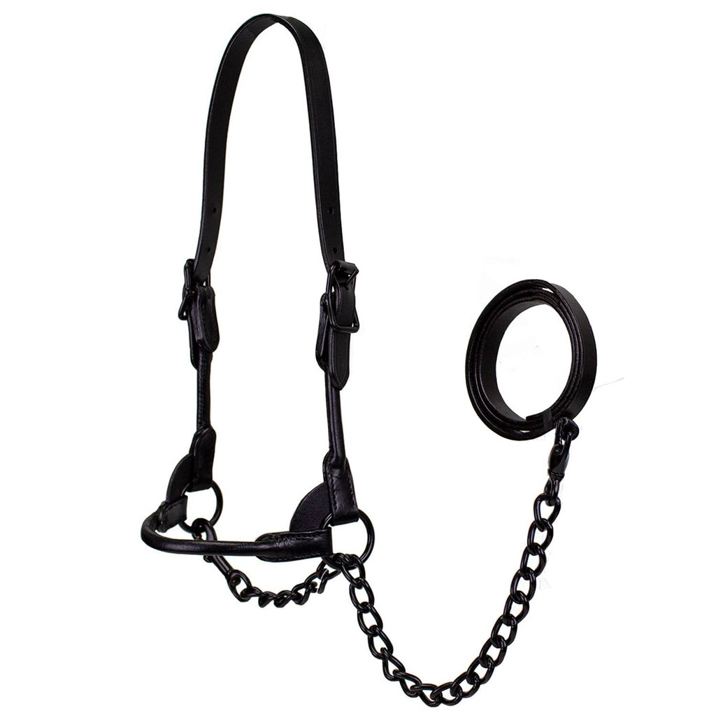 Derby Midnight All Black Premium Round Rolled Leather Cattle Show Halter with Matching Chain Lead  - One Year Limited Manufacturer’s Warranty