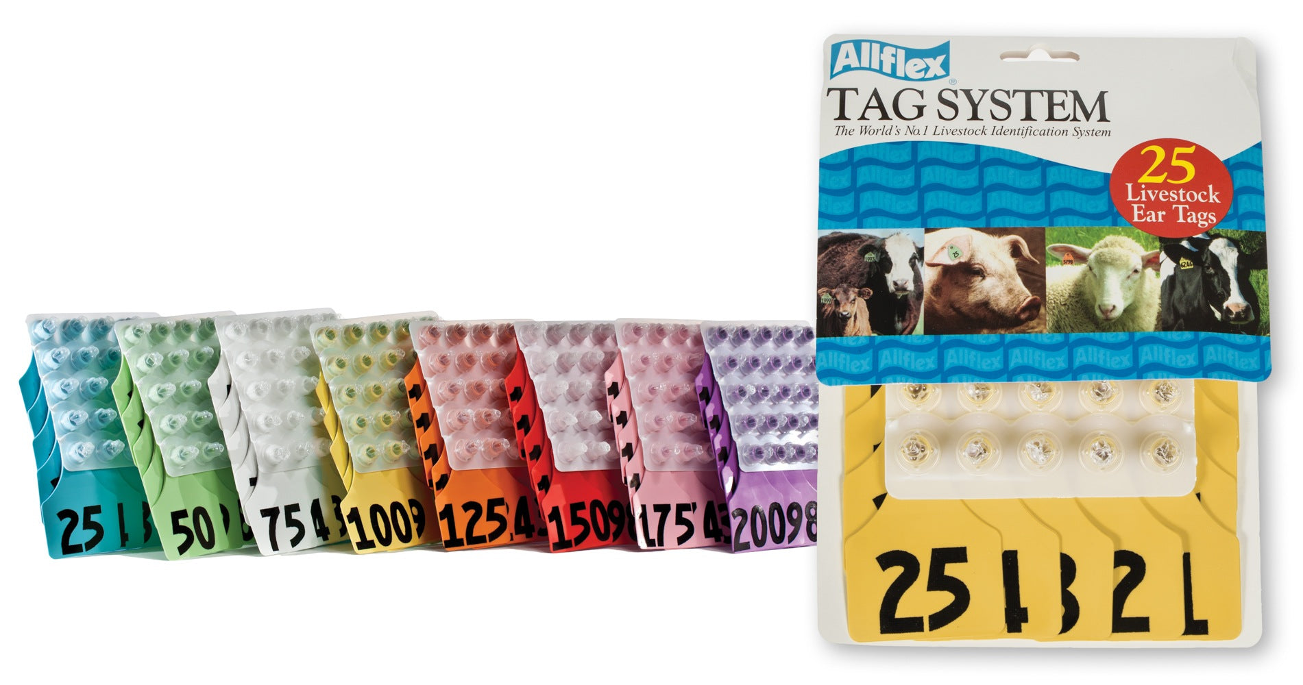 ALLFLEX: LARGE - FEM/SM - RED - 1-25