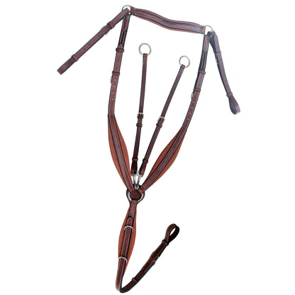 ExionPro Wings Breastplate