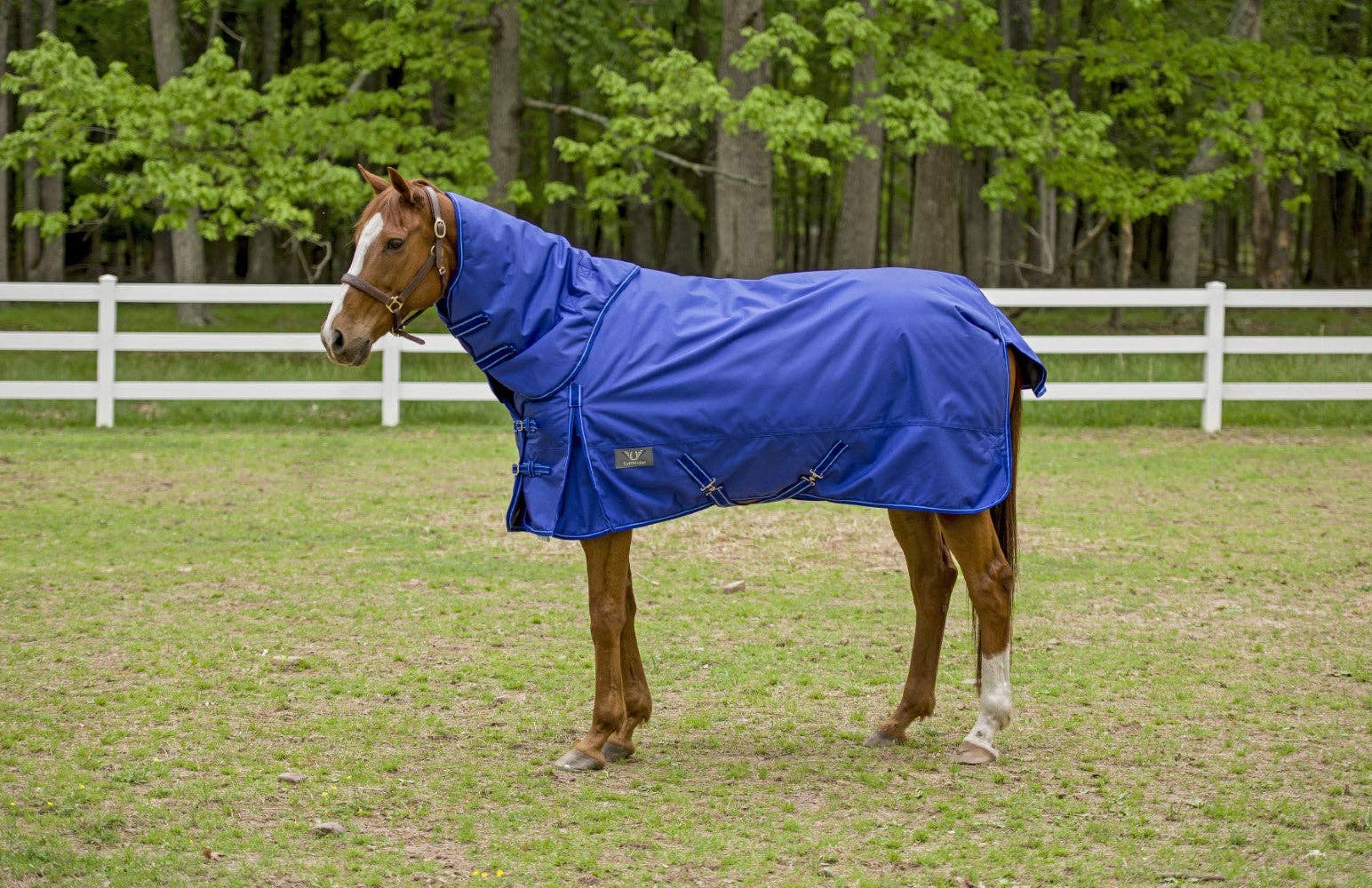 TuffRider 1680 D Super Comfy Winter Ripstop Turnout Blanket Heavy Weight 350 GSM Detachable Neck