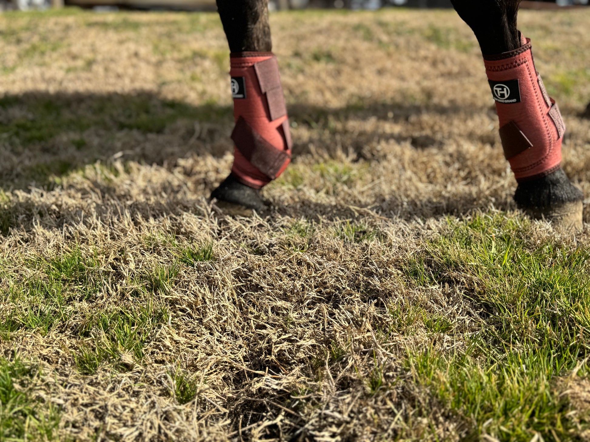 Copper Sport Boots