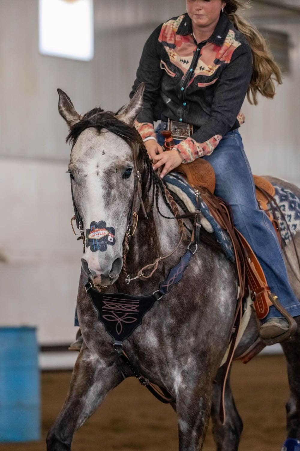 EquiBreathe™ Equine Nasal Patch - Vegas