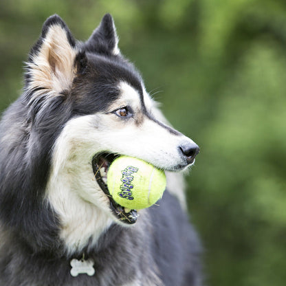 Kong SqueakAir Tennis Balls (2-3pck)