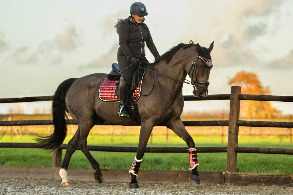 Electric Red Saddle Pad Set