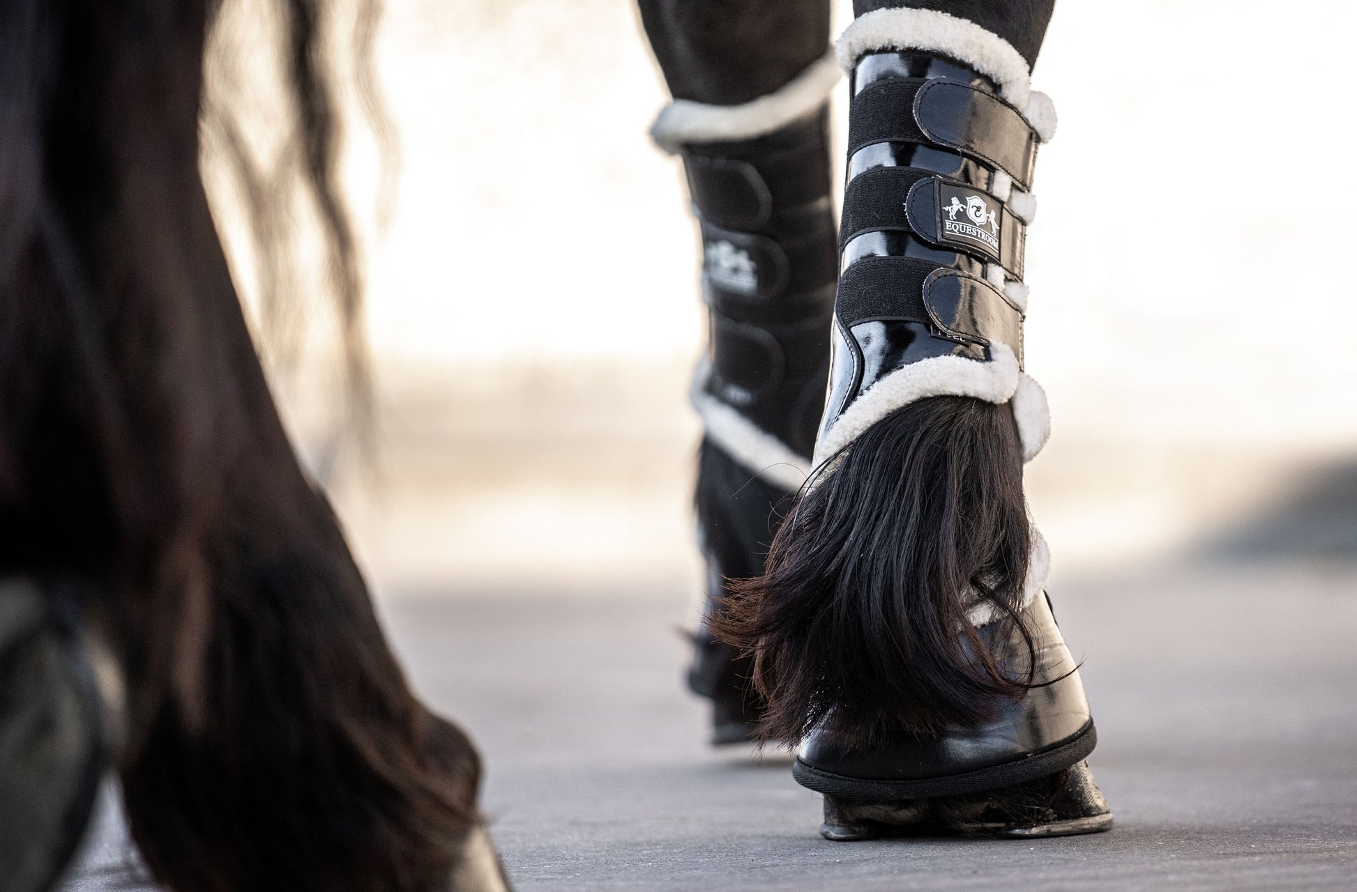 Black Ink Brushing Boots