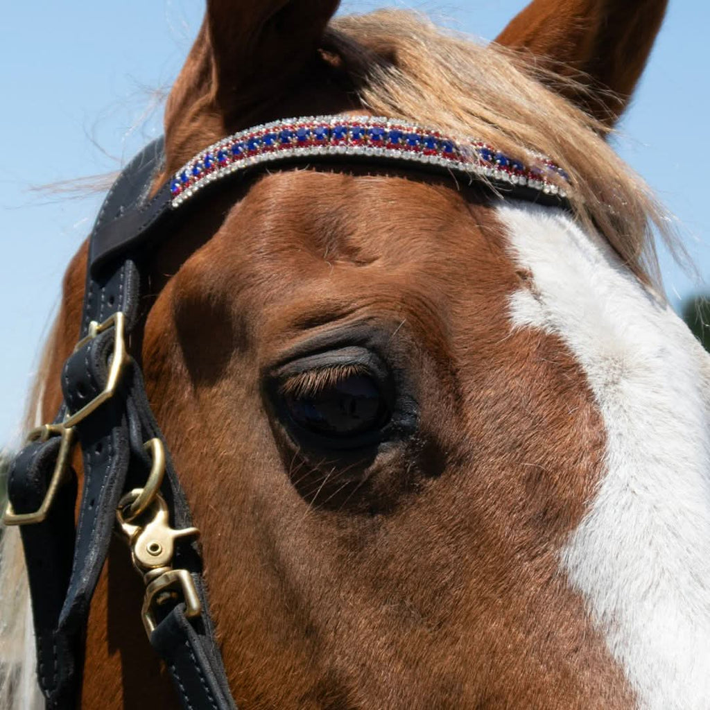 Patriot American Saddle Pad Set